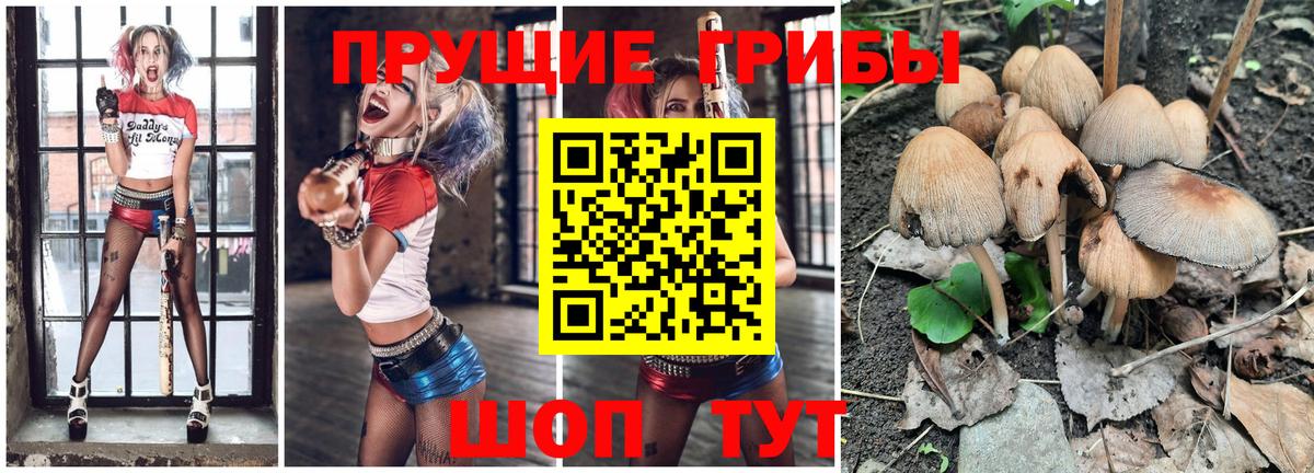 Галлюциногенные грибы Magic Shrooms Вичуга