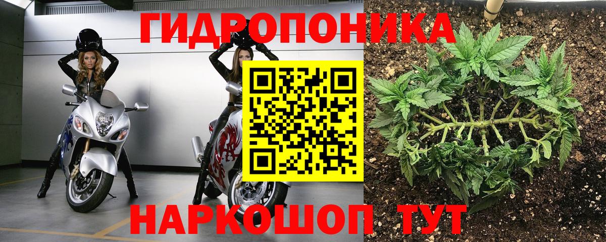 Шишки марихуана план Вичуга